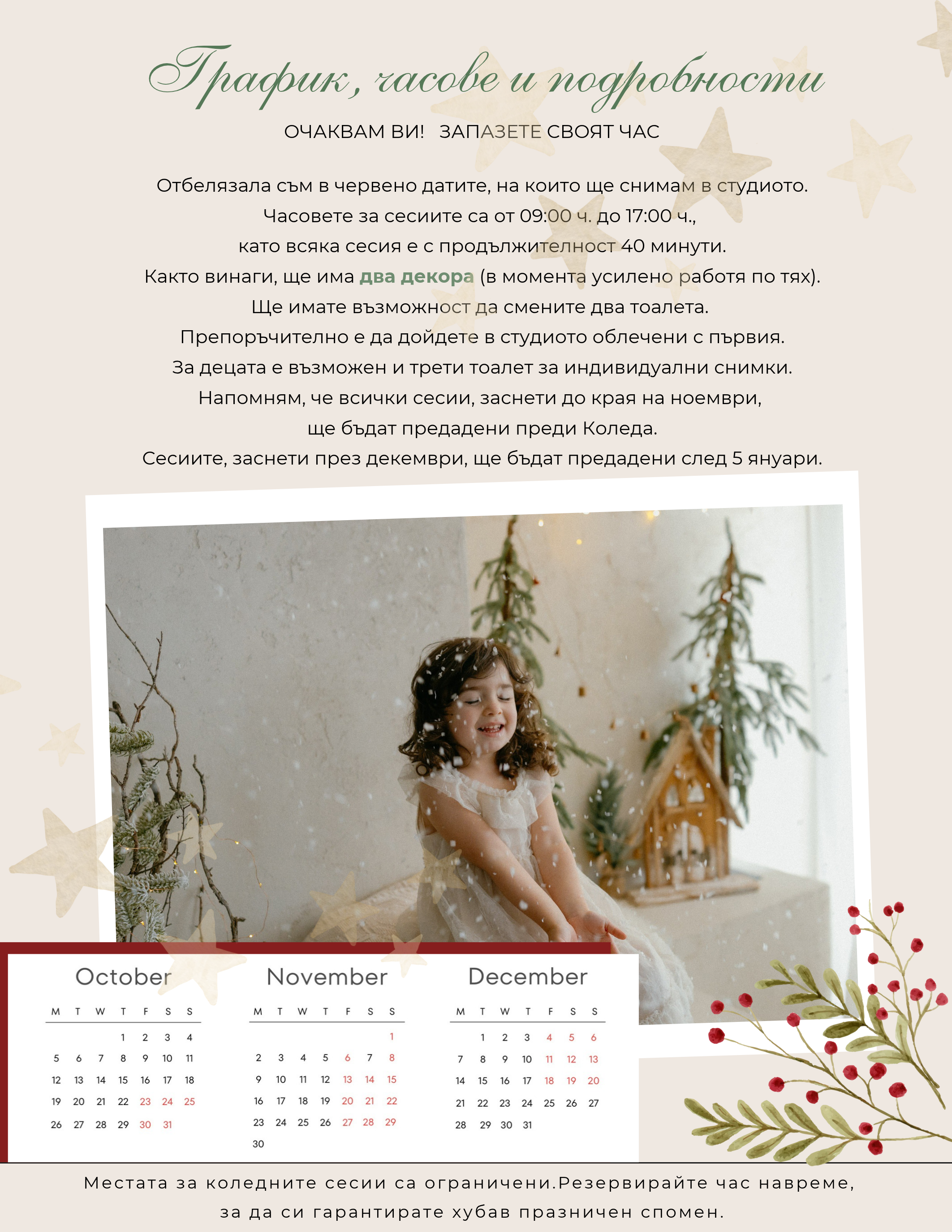 Christmas 26 Photography Template D1035-3.png